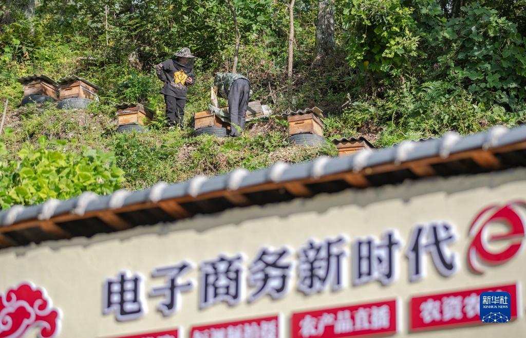 巴黎人下载地址